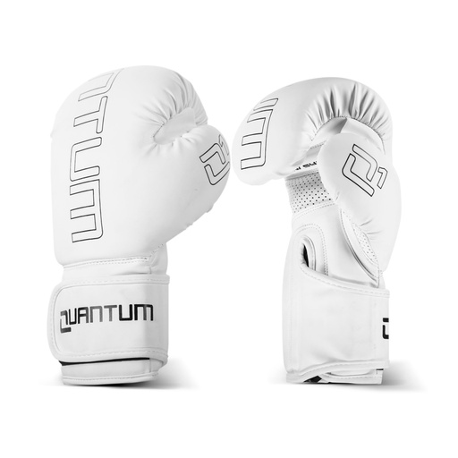 Quantum Boxing Gloves Q1 Kids