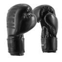 Daniken Boxing Gloves Eclipse